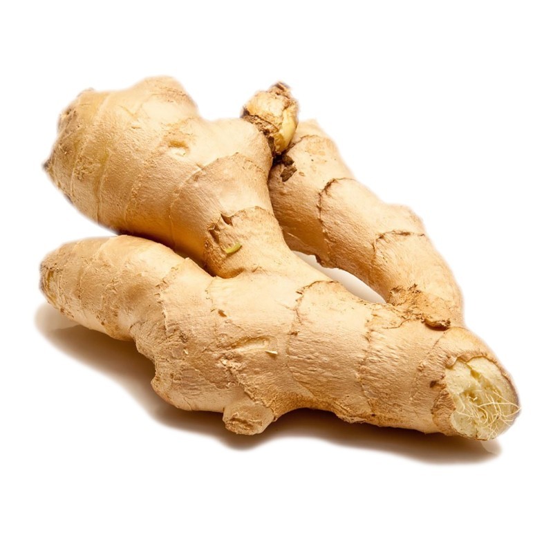 GINGEMBRE FRAIS 1KG