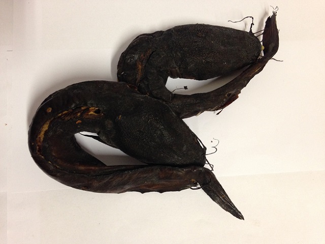 poisson-chat-fume-courbe