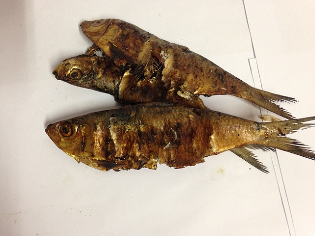 Sardinella-fume